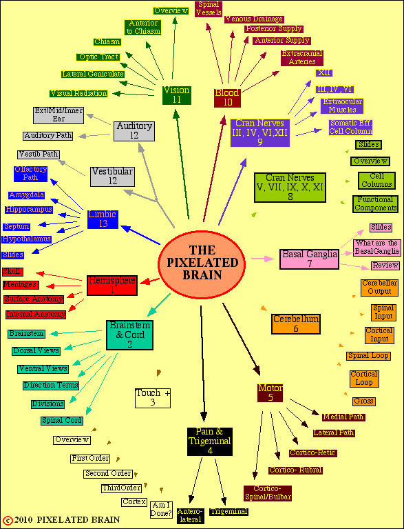 Site Map 